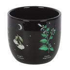 Eleanoras Poisonous Plants Plant Pot 