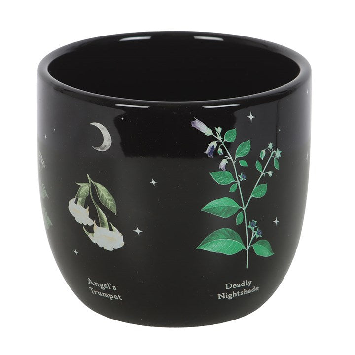 Eleanoras Poisonous Plants Plant Pot 