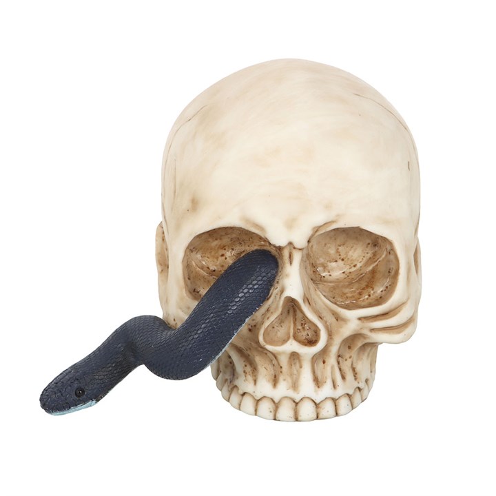 Eleanoras Skull Ornament with Snake 
