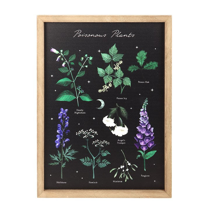 Eleanoras Poisonous Plants Framed Wall Art Print 