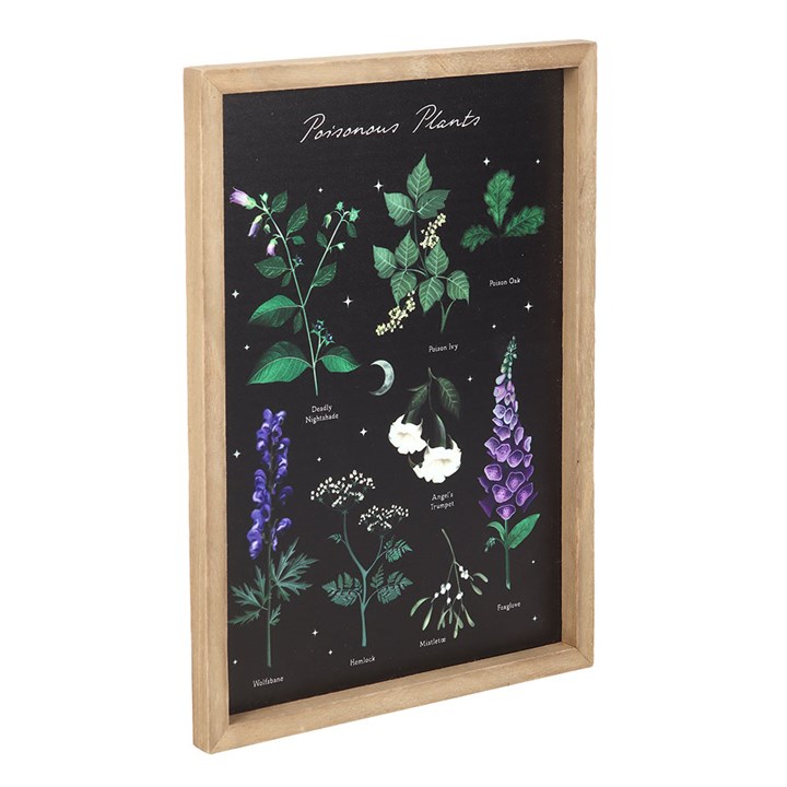 Eleanoras Poisonous Plants Framed Wall Art Print 