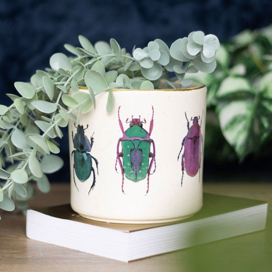 BEETLE OFF WHITE PLANT POT