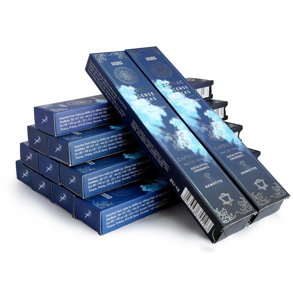 Capricorn Zodiac Incense Gift Set - Eucalyptus & Hematite Crystal