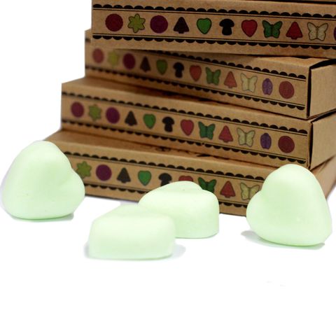 Watermelon Fresh Box of 6 Wax Melts