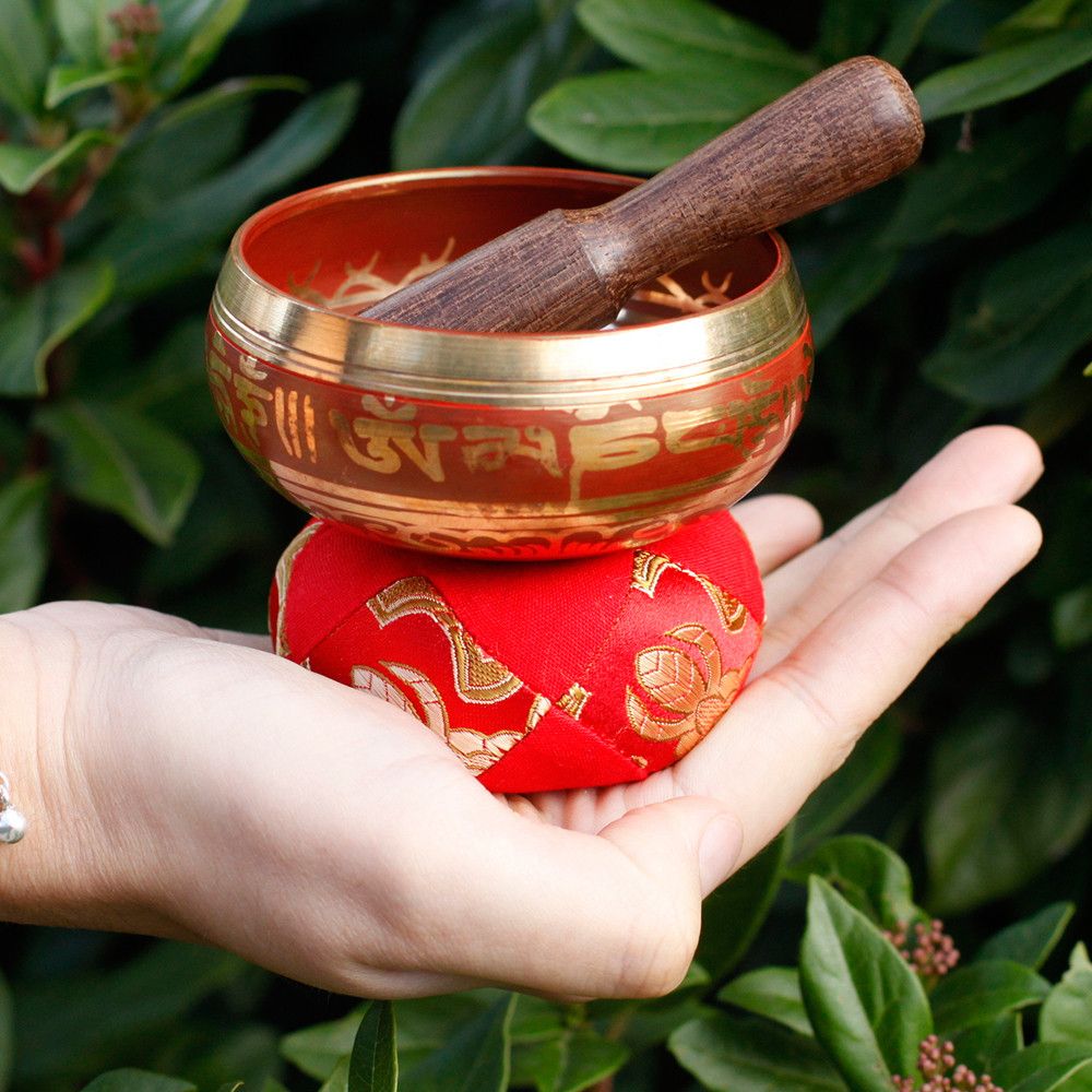 Tibetan singing bowl with wooden striker held in a hand against a green leafy background