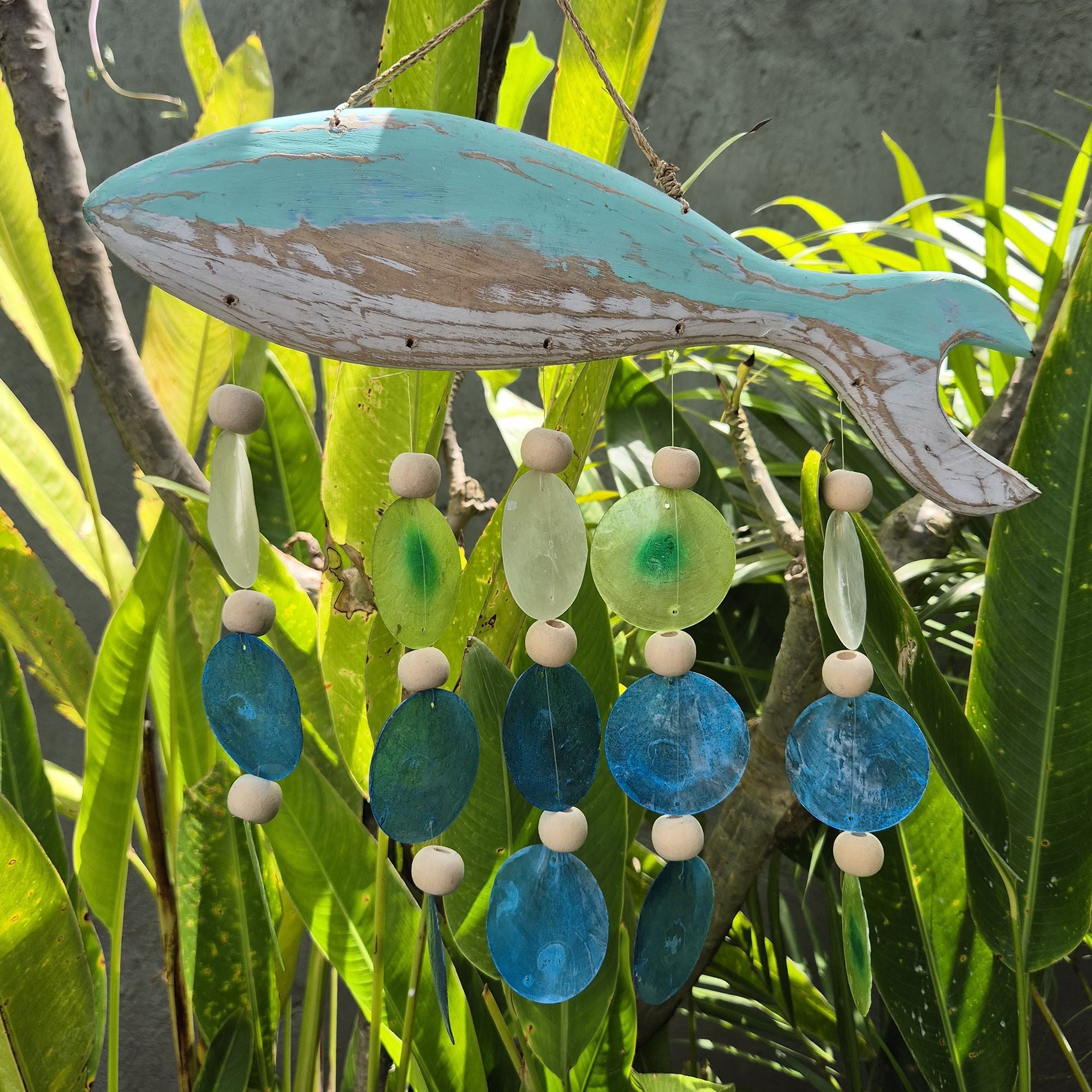 Aqua Fish Carving and Copis Drop