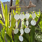 String Fish and Natural Copis Drop