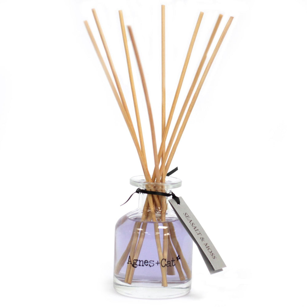 Diffuser with wooden sticks and a clear bottle labeled 'Agnes + Cat' on a white background