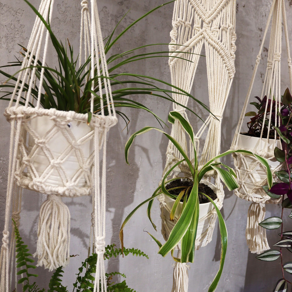 Double Holder Macrame Pot Holder