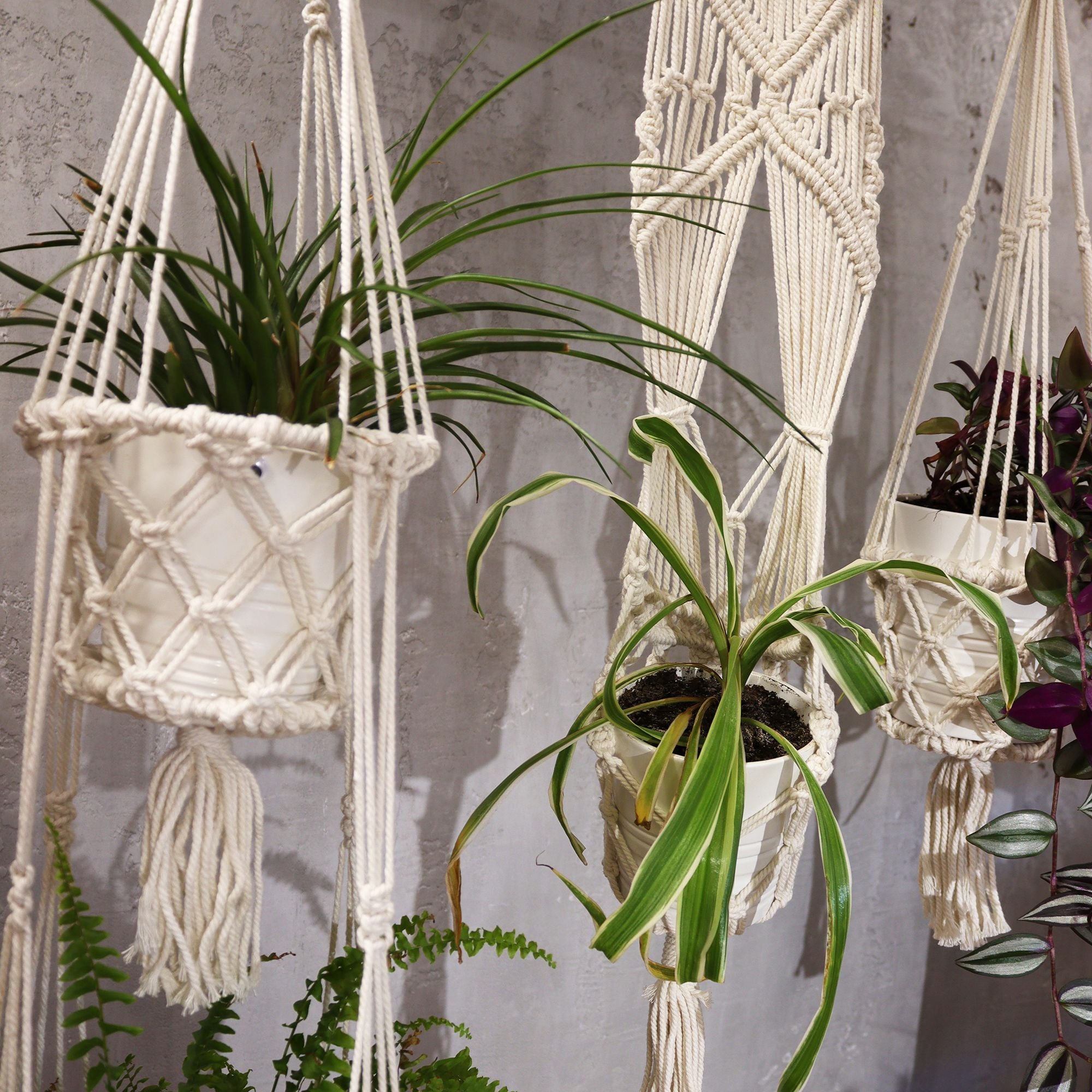 Double Holder Macrame Pot Holder