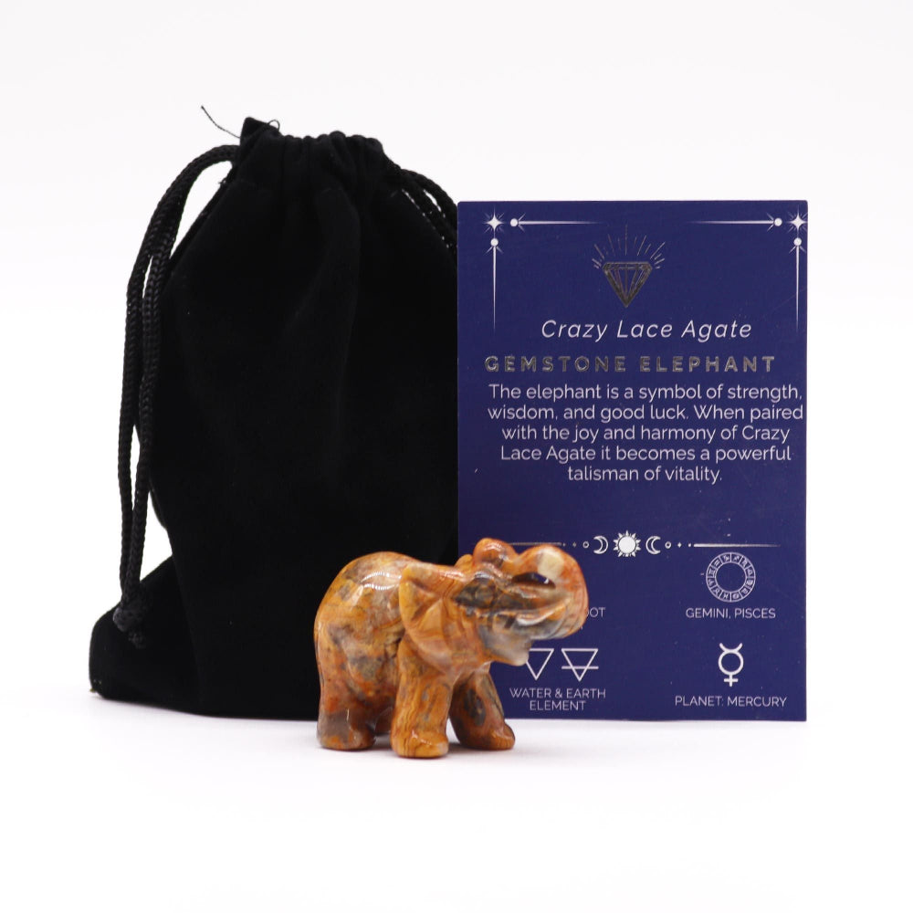 Crazy Lace Agate Gemstone Elephant with information card and black drawstring bag on white background