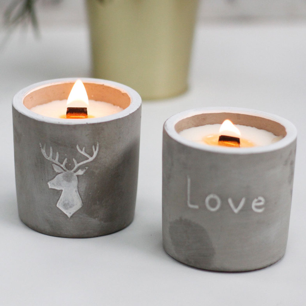 Purple Fig & Casis Love Medium Candle Pot