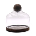 Apothecary Ball Terrarium on Dark Tung Wood Stand — Extra Large