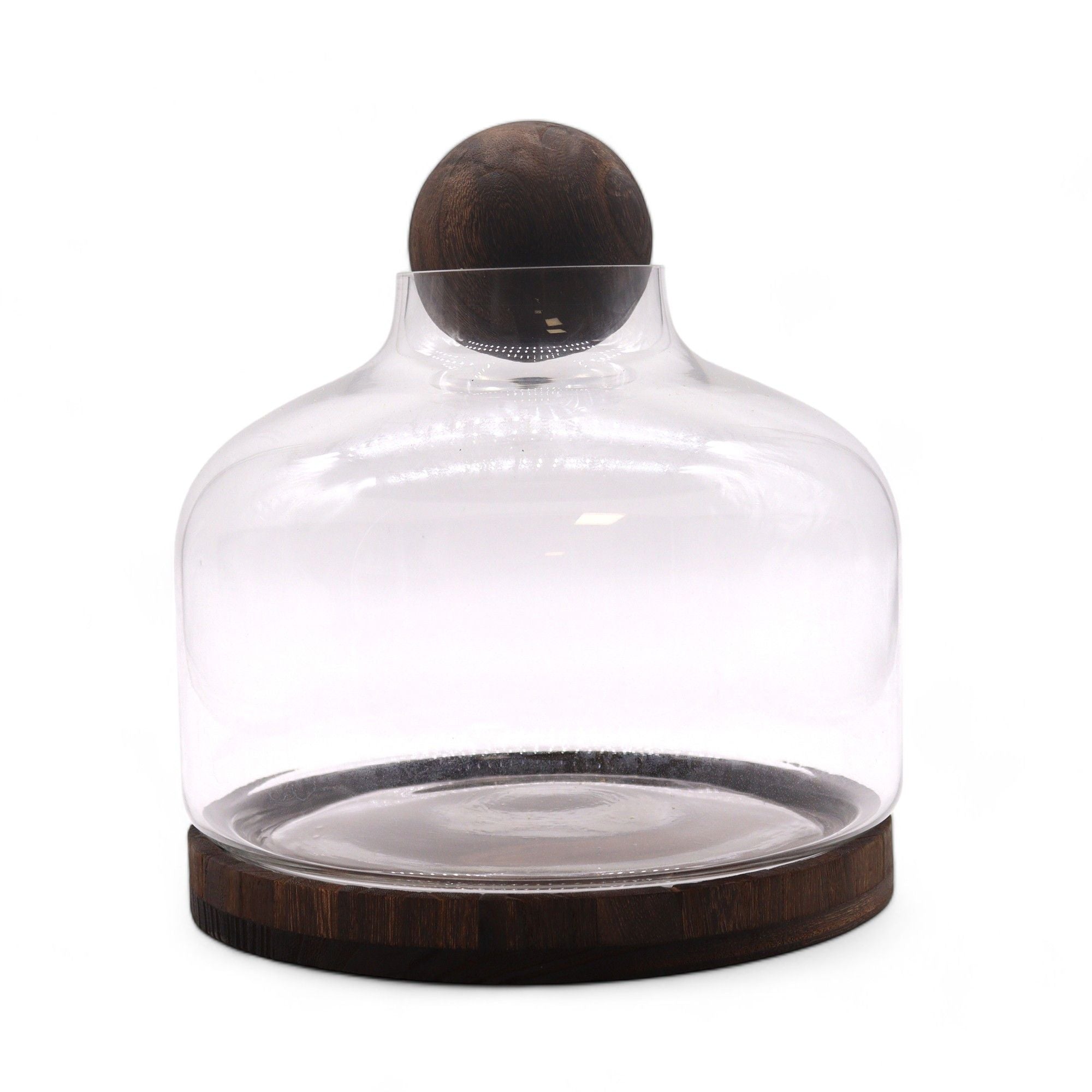 Apothecary Ball Terrarium on Dark Tung Wood Stand — Extra Large