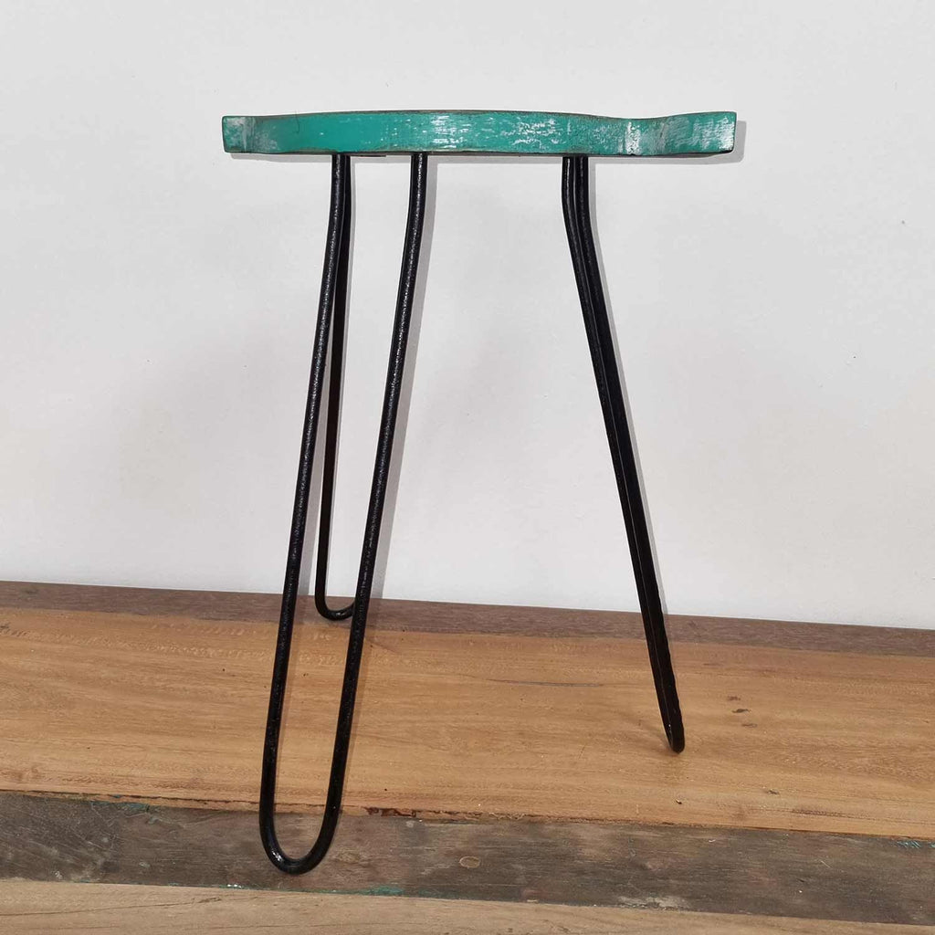 Turquoise Albasia Wood Fish Stand