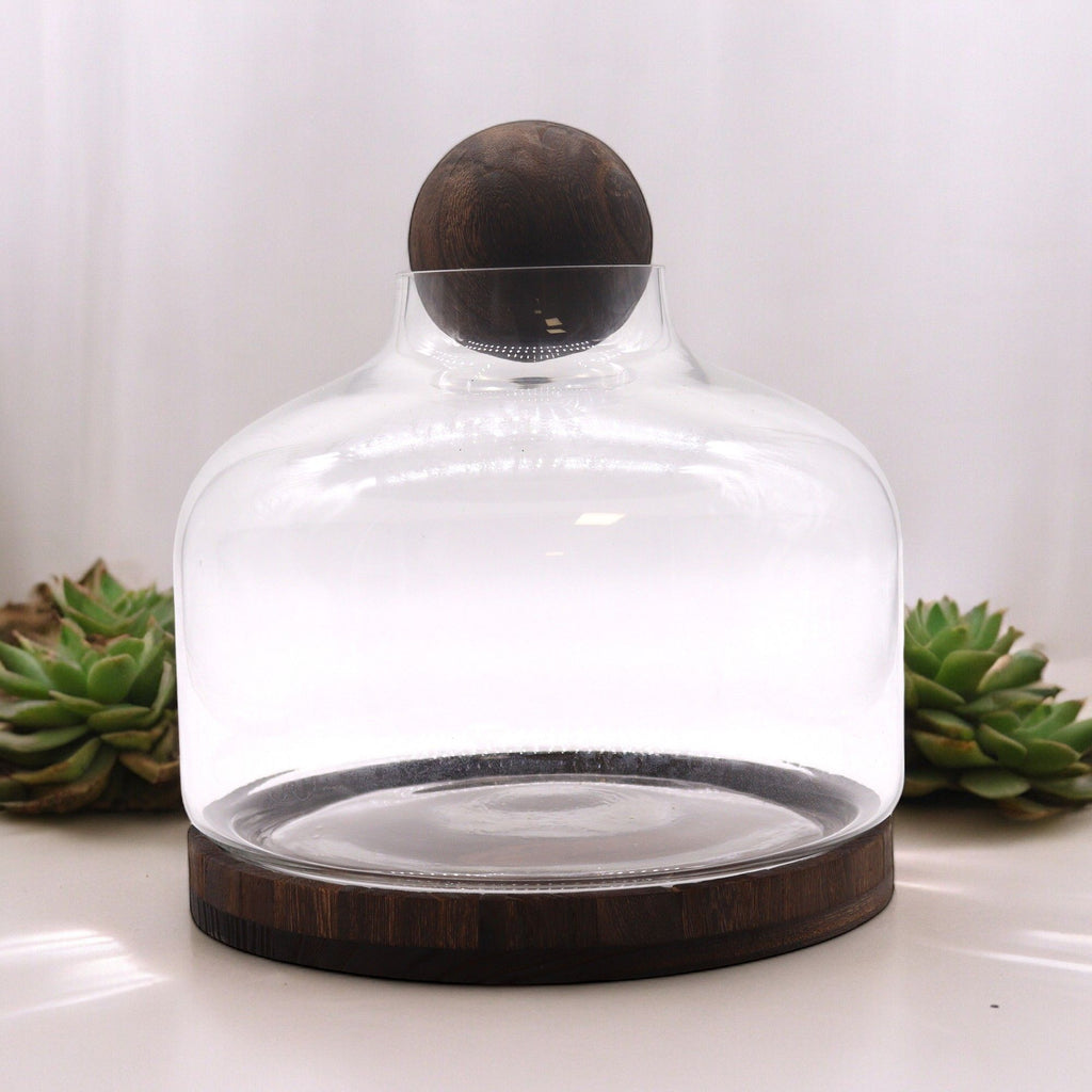 Apothecary Ball Terrarium on Dark Tung Wood Stand — Extra Large
