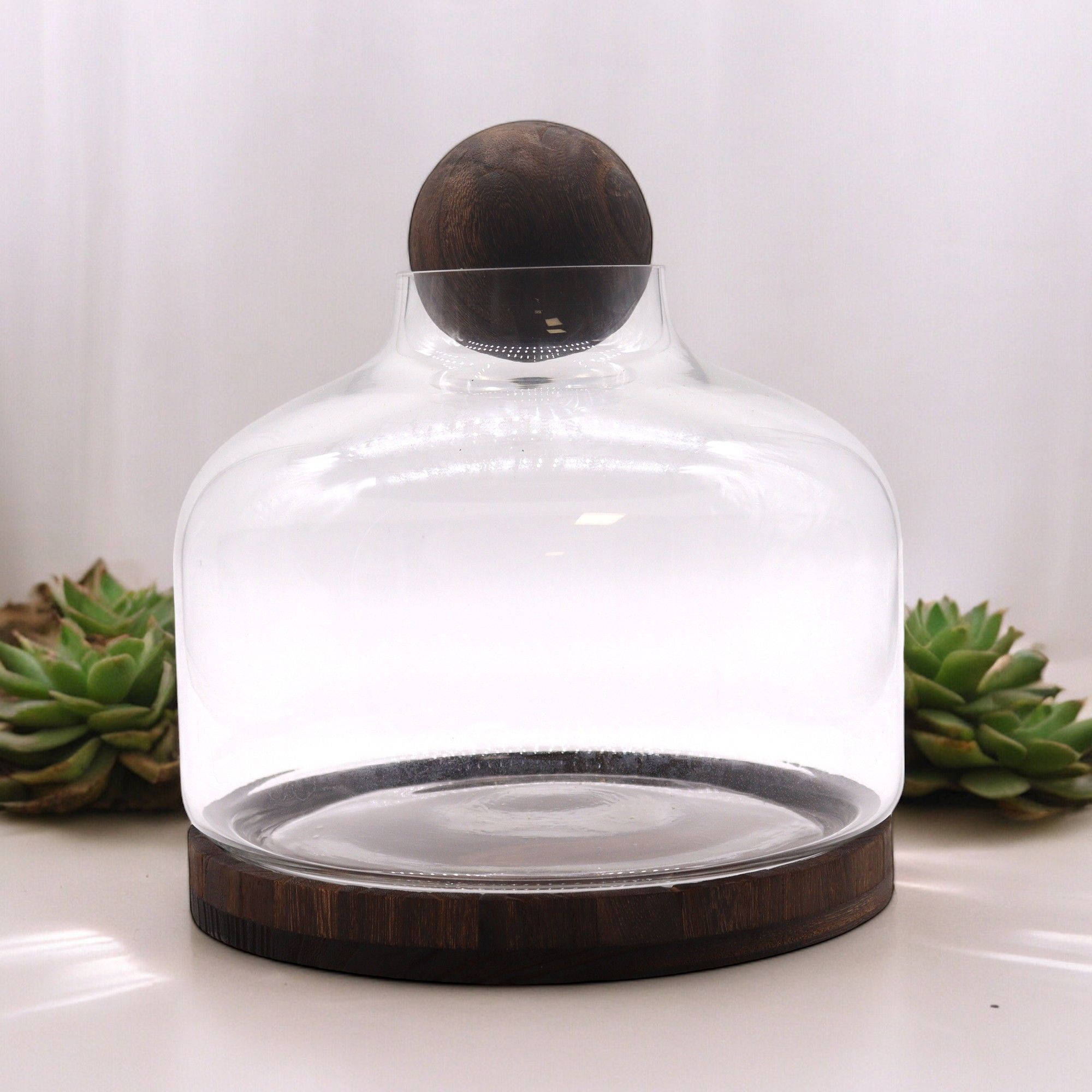 Apothecary Ball Terrarium on Dark Tung Wood Stand — Extra Large