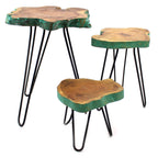 Greenwash Set of 3 Gamal Wood Plant Stands