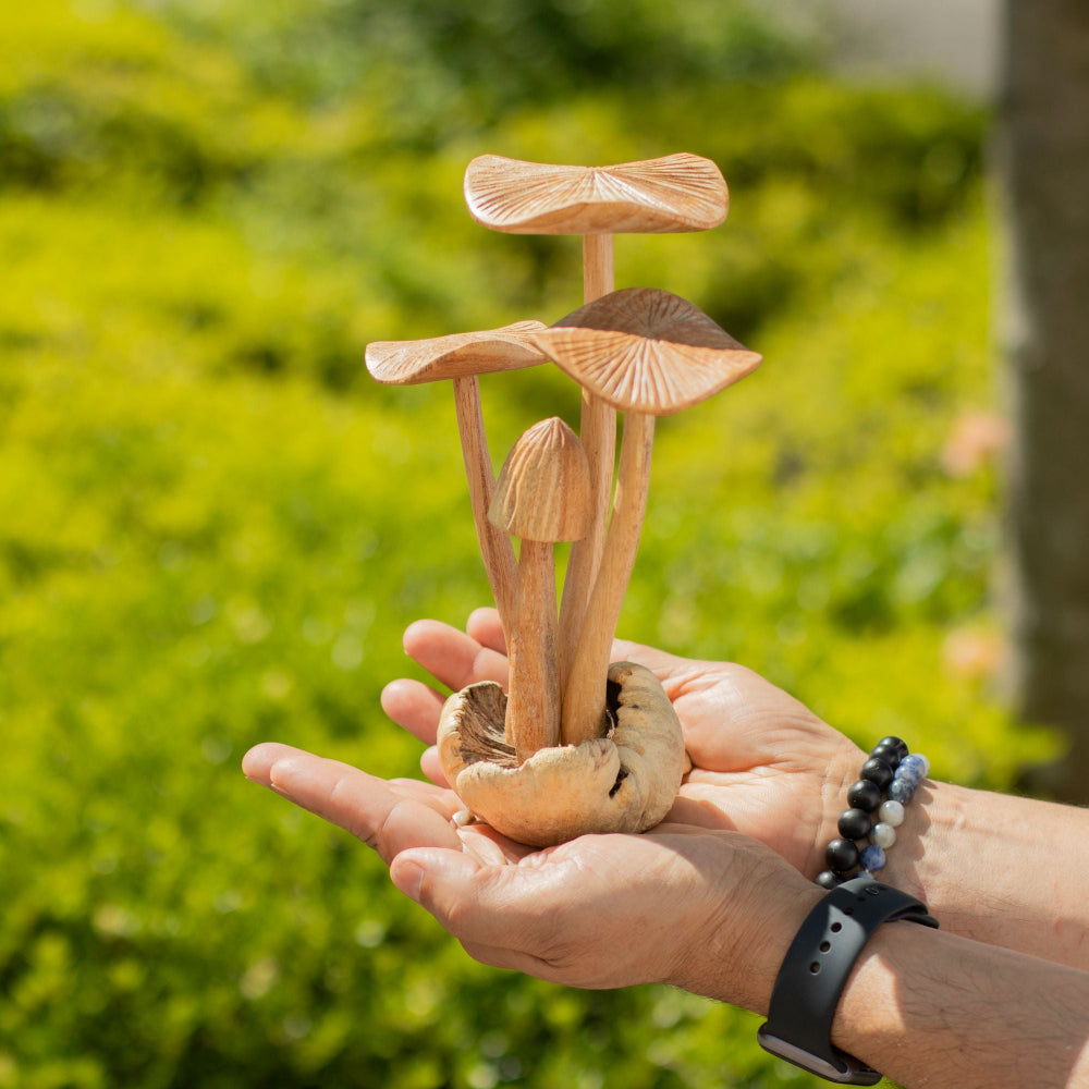 Handmade Parasite Wood Carving — Mushroom Cluster