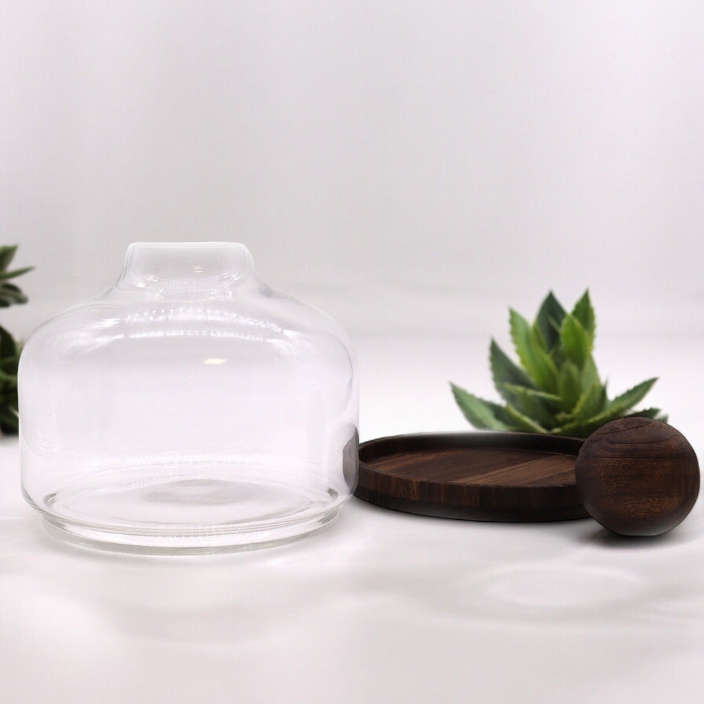 Apothecary Ball Terrarium on Dark Tung Wood Stand — Extra Large