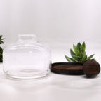 Apothecary Ball Terrarium on Dark Tung Wood Stand — Extra Large