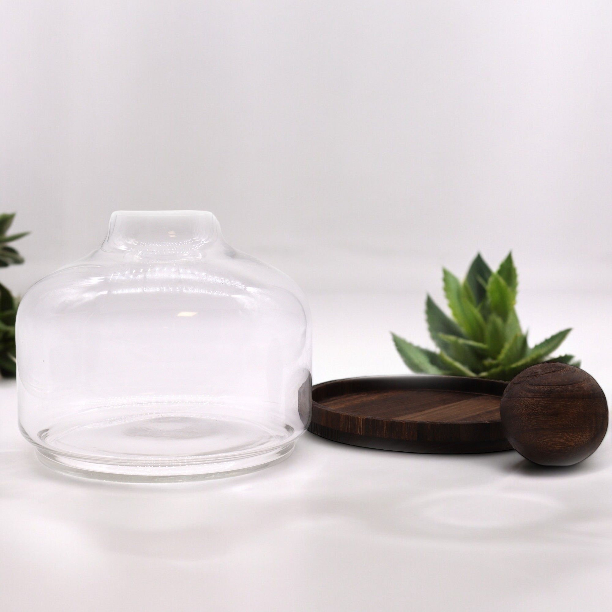 Apothecary Ball Terrarium on Dark Tung Wood Stand — Extra Large