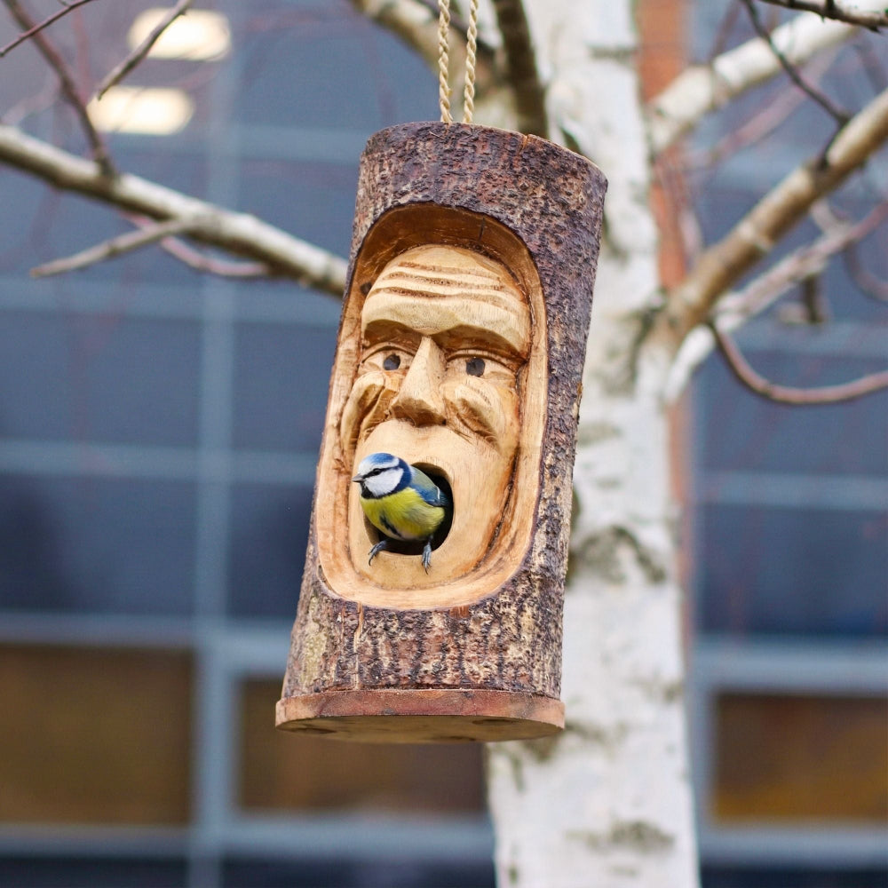 Wooden birdhouse with a face design and a blue tit bird perched on it, hanging from a tree.