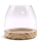 Crystal Sanctuary Terrarium on Tung Wood Stand — Medium