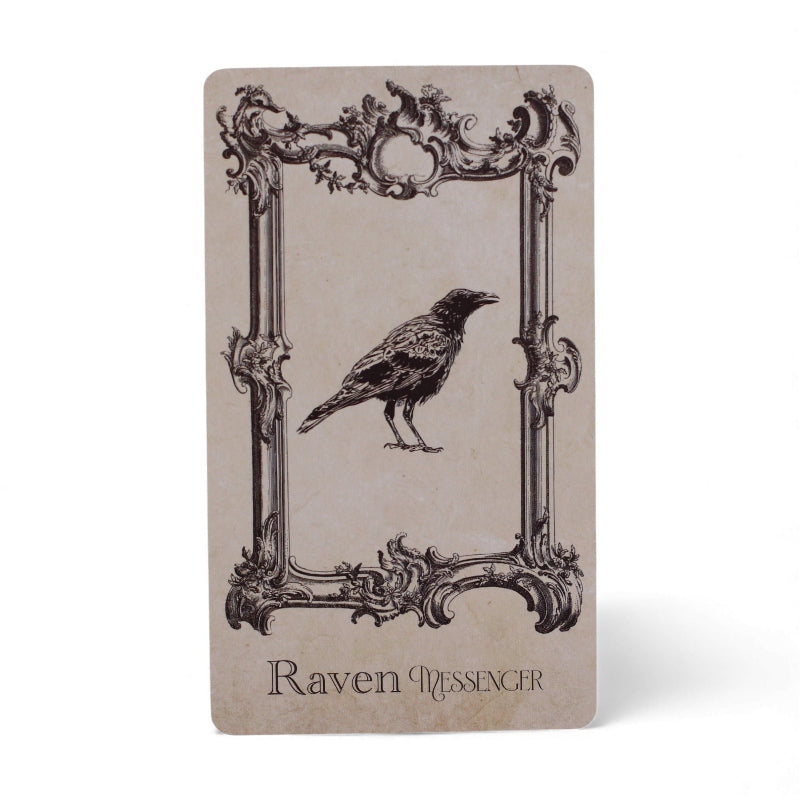 Witchcraft Deck The Spellbook Oracle Cards