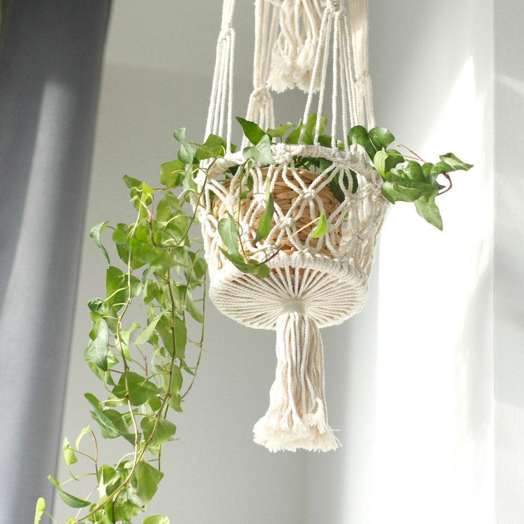 Double Holder Macrame Pot Holder