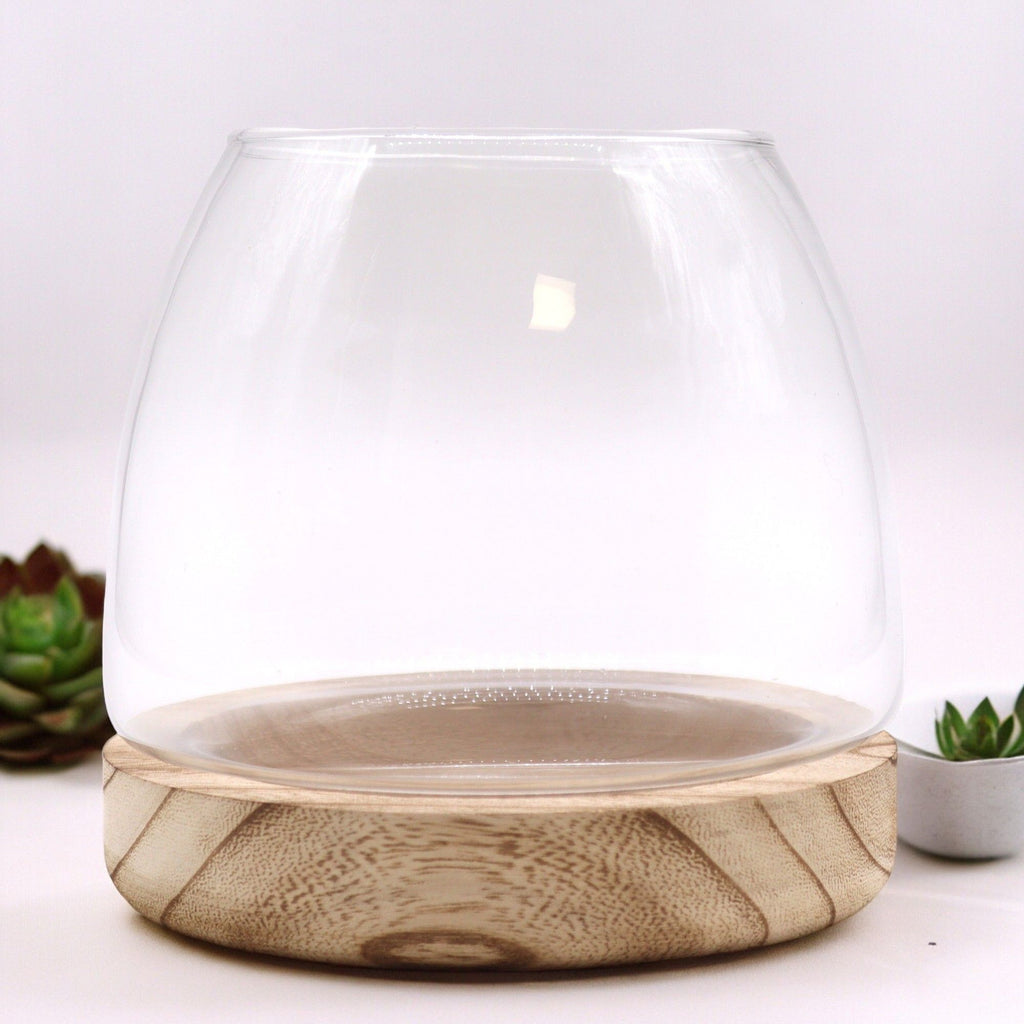 Crystal Sanctuary Terrarium on Tung Wood Stand — Medium