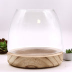 Crystal Sanctuary Terrarium on Tung Wood Stand — Medium