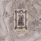 Witchcraft Deck The Spellbook Oracle Cards