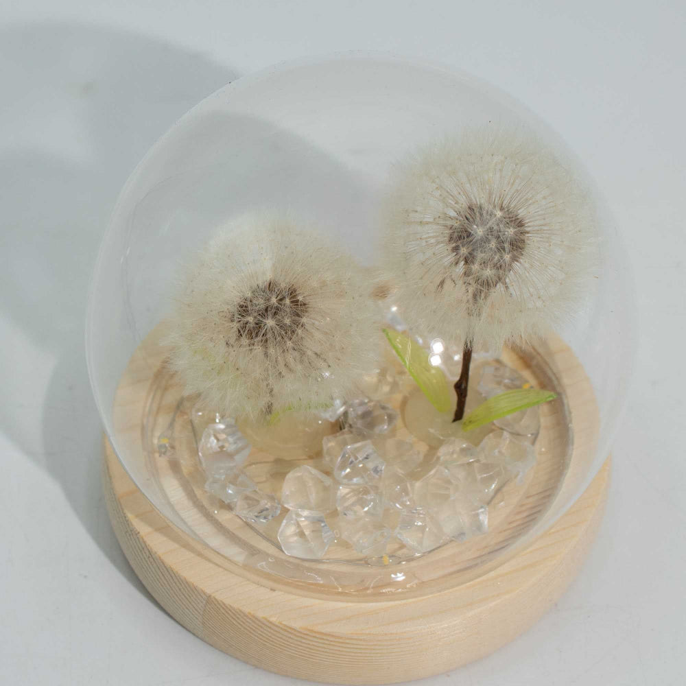 2 Dandelions Floral Glow Garden Dome  LED USB