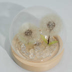 2 Dandelions Floral Glow Garden Dome  LED USB