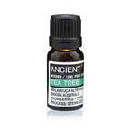 Set of Lavender, Tea Tree & Rosemary Essential Oils  10ml
