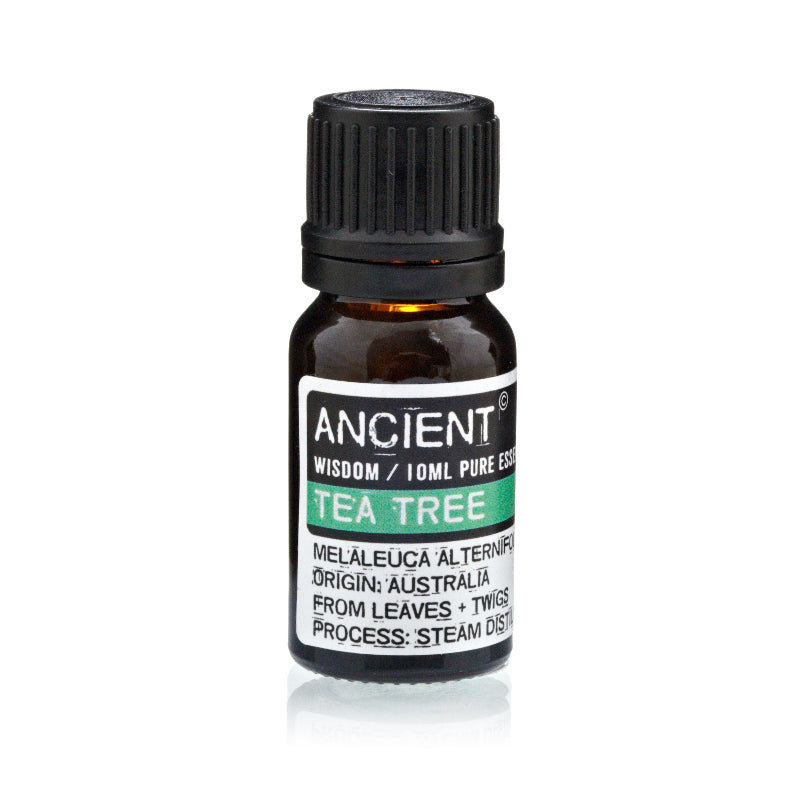 Set of Lavender, Tea Tree & Rosemary Essential Oils  10ml