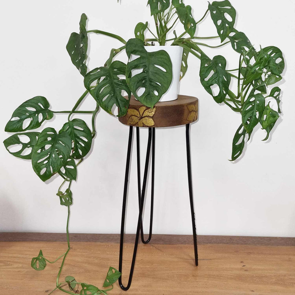 Natural & Gold Wood Plant Stand