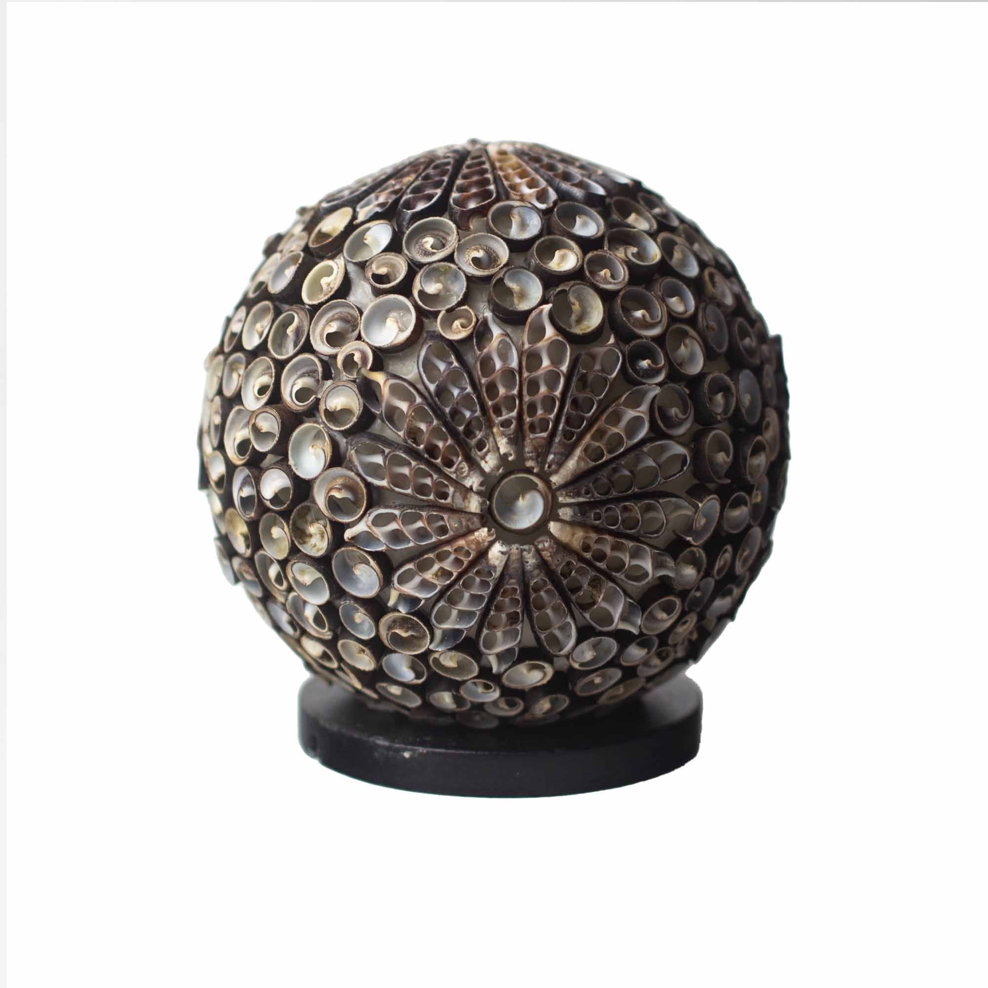 Chocolate Twist Globe  Boho Sea Shell Lamp 15cm