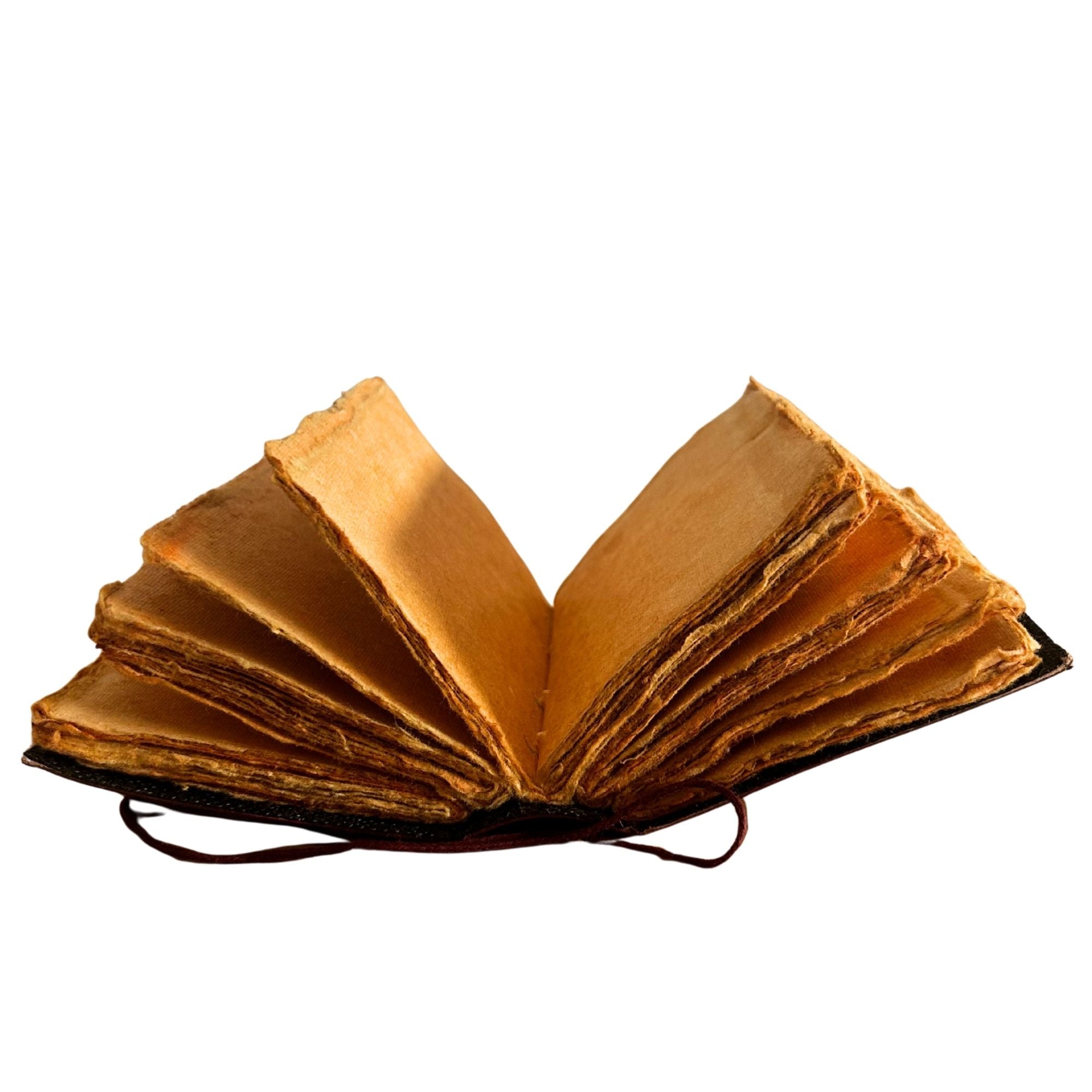 Every Day May Not Be Good Fat Deckled Edge Leather Notebook