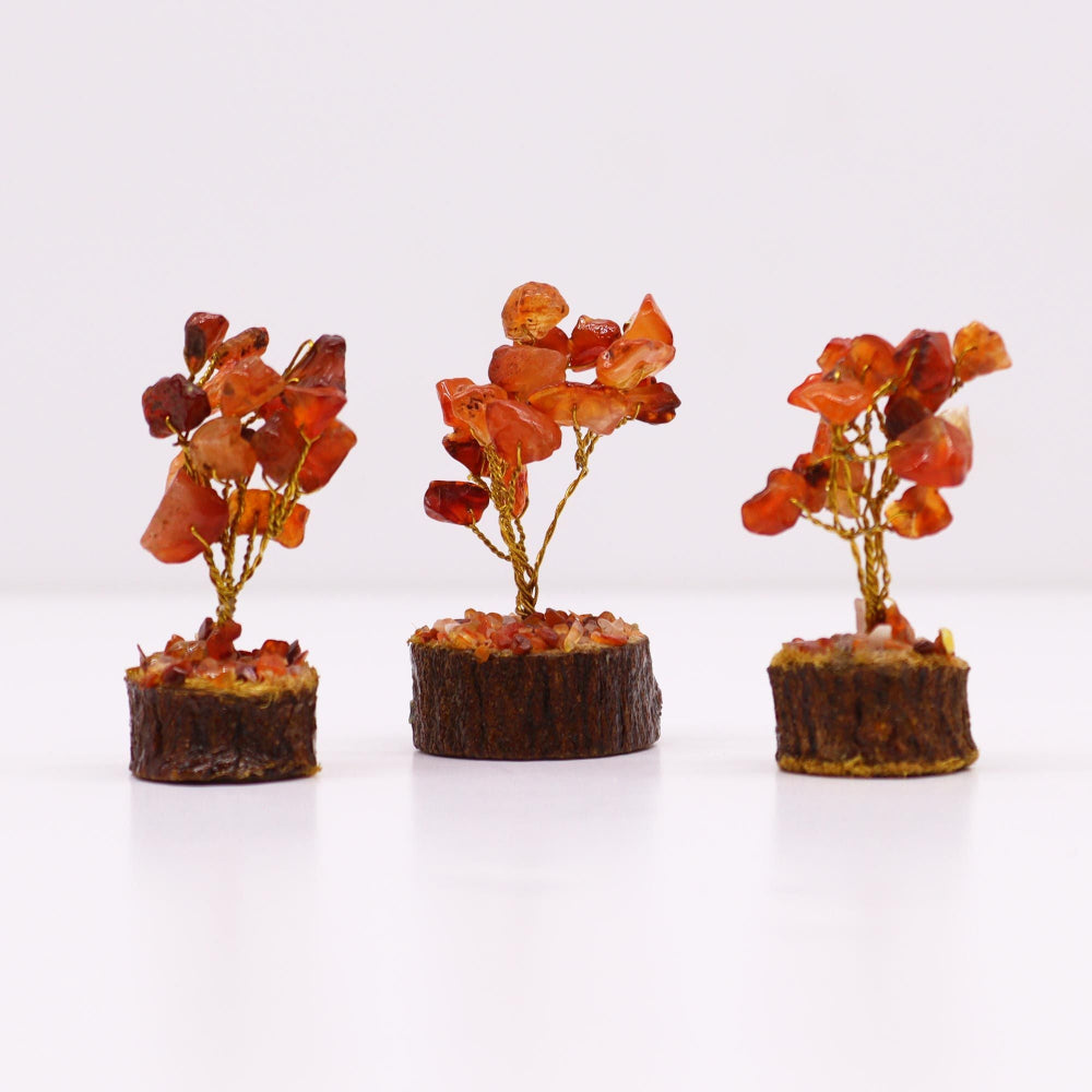 Carnelian (15 stones) Mini Gemstone Tree On Wood Base