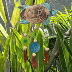 Aqua Turtle Carving and Copis Drop