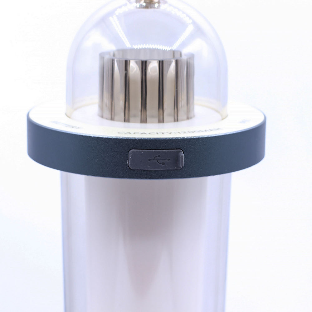 Outdoor Flame Effect Lamp