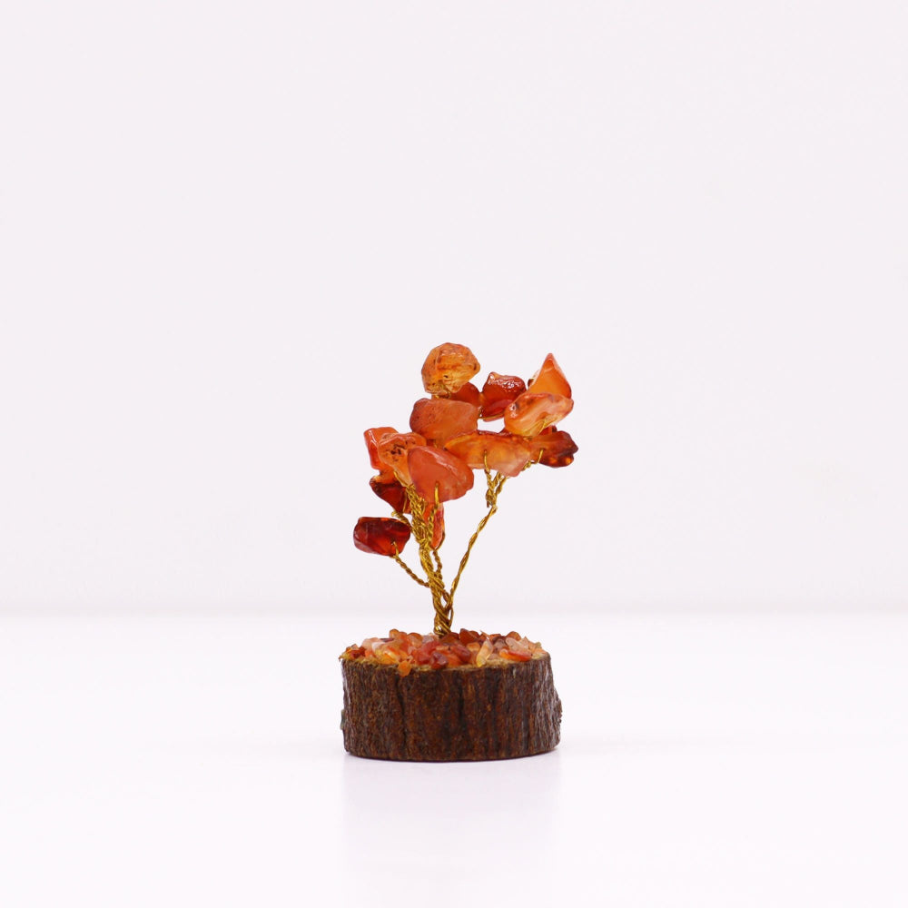 Carnelian (15 stones) Mini Gemstone Tree On Wood Base