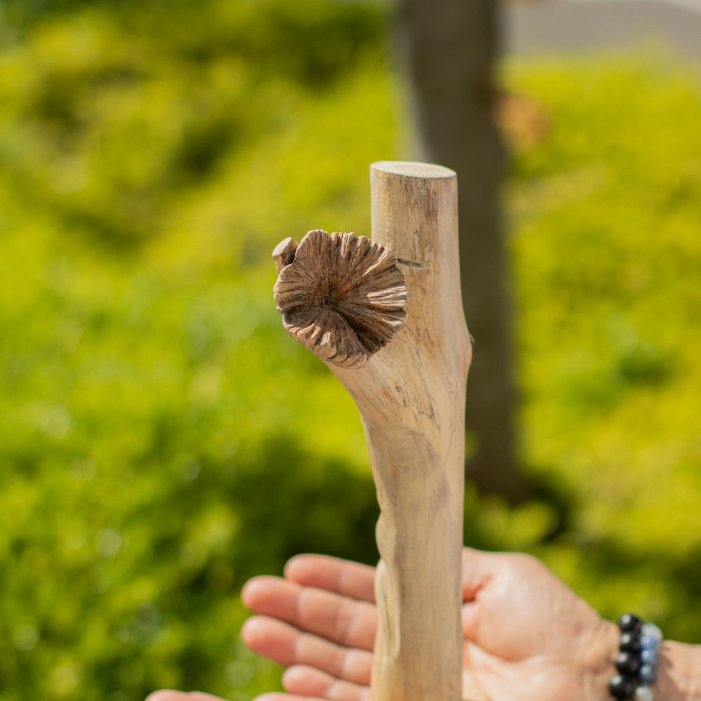 Handmade Parasite Wood Carving — Green Man