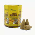 Coconut & Mango Pack of 10 Masala Backflow Incense