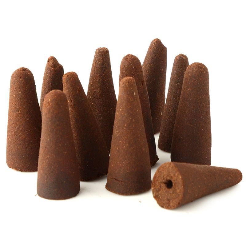 Apple & Cinnamon Plant Based Backflow Incense Cones