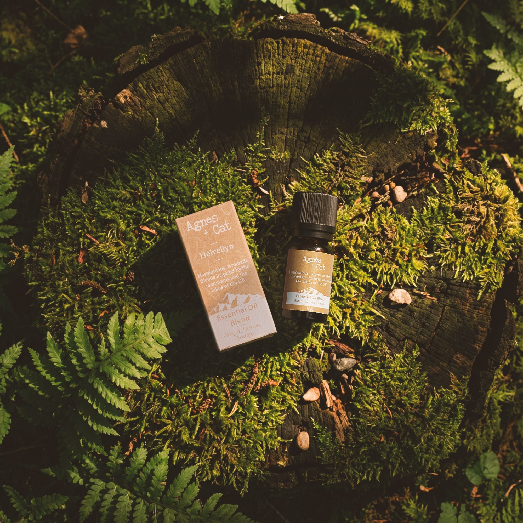 Agnes + Cat Scafell Pike Cypress, Tangerine & Ho Wood Essential Oil Blend