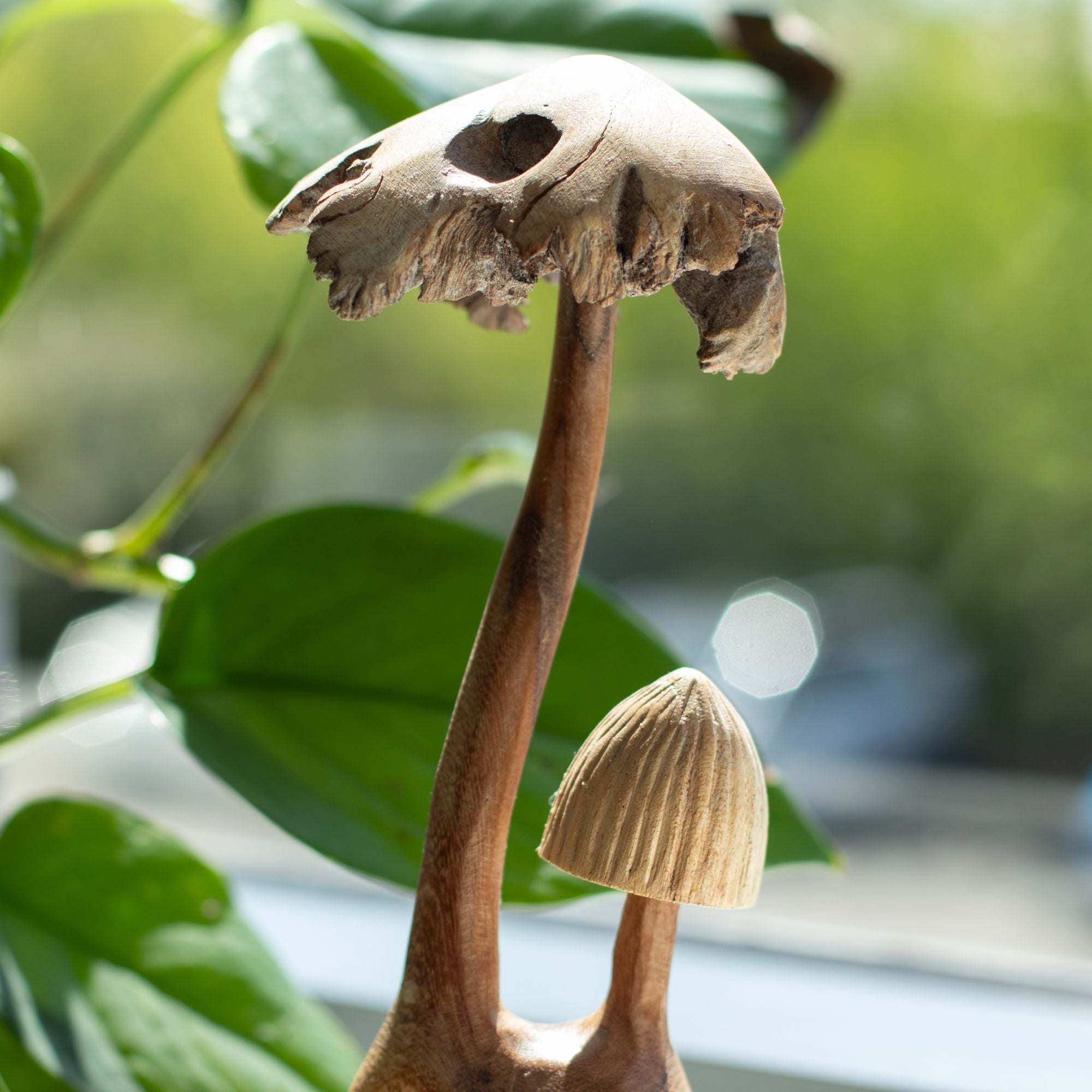 Handmade Parasite Wood Carving — Twin Mushrooms