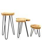 Natural Set of 3 Gamal Wood Plant Stands